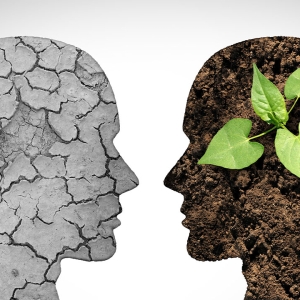 Two heads, one with cracked ground, the other with a growing plant