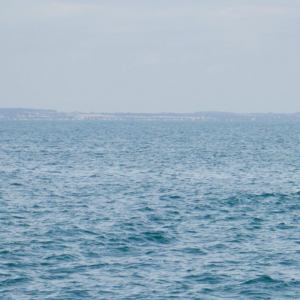 Migrant boat