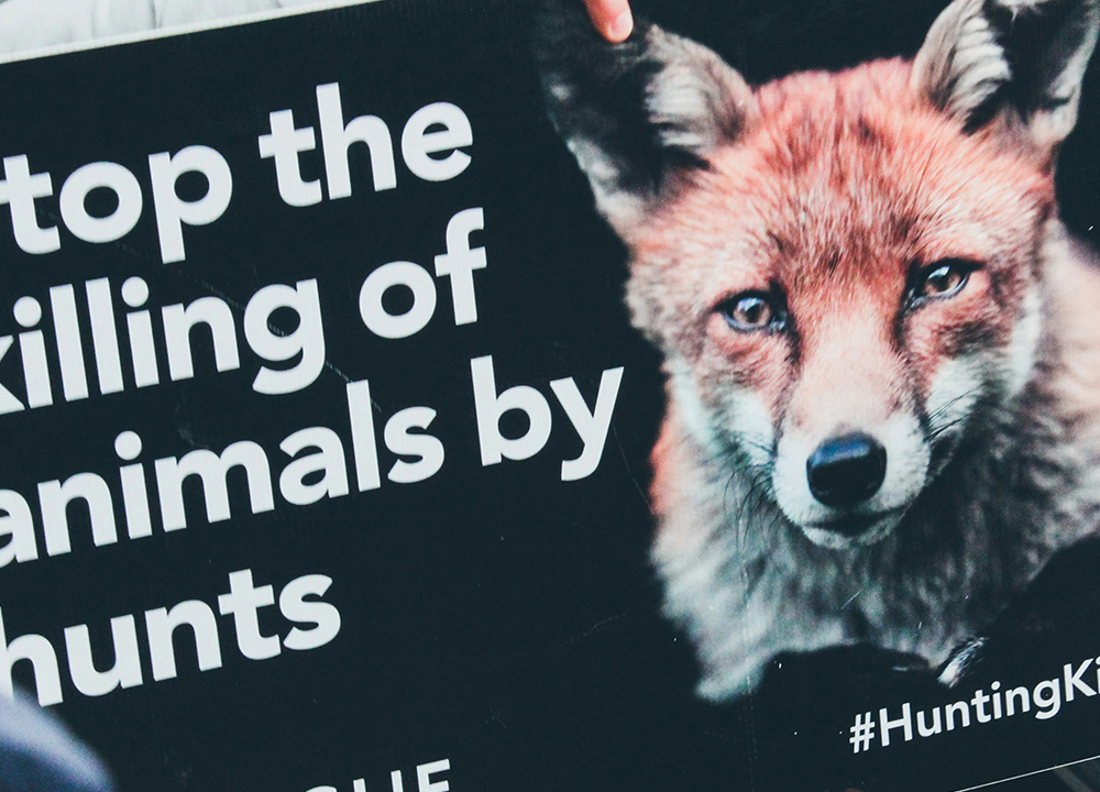 How fox hunting demonstrates the ‘farcical’ nature of criminal justice today