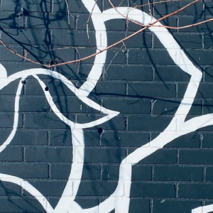 Can entrepreneurs in crisis teach us something about resilience?