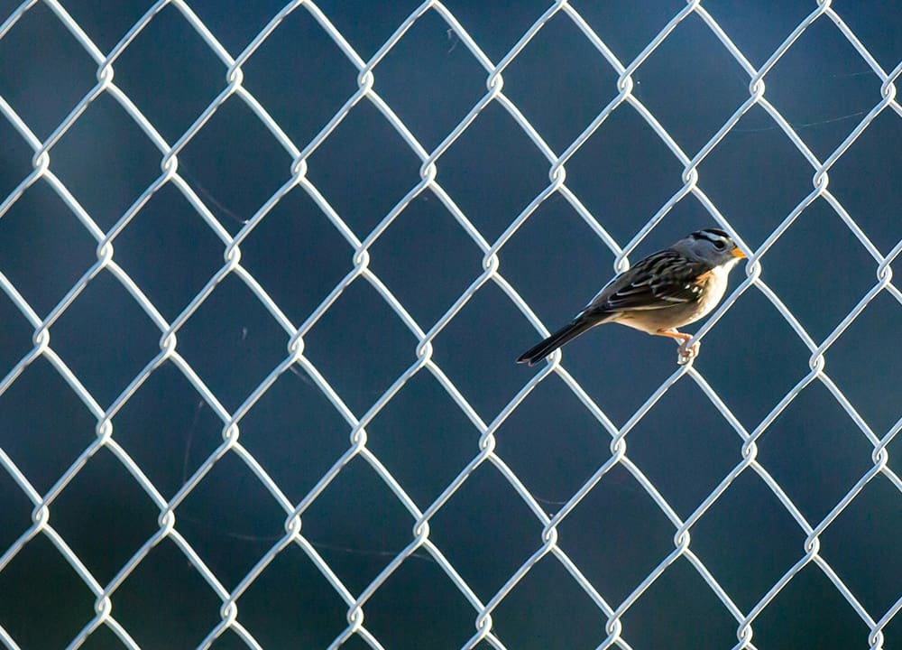 Rethinking justice for criminalised women: Start with relationships