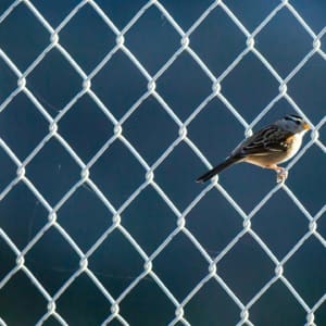 Rethinking justice for criminalised women: Start with relationships