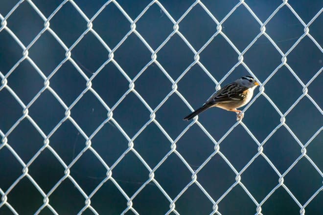 Rethinking justice for criminalised women: Start with relationships