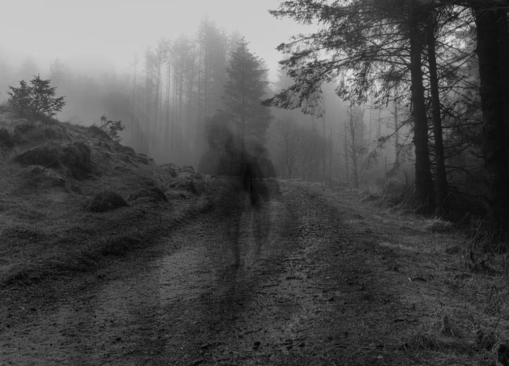 PODCAST: Why Disappearance Research Matters