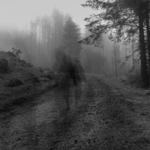 PODCAST: Why Disappearance Research Matters