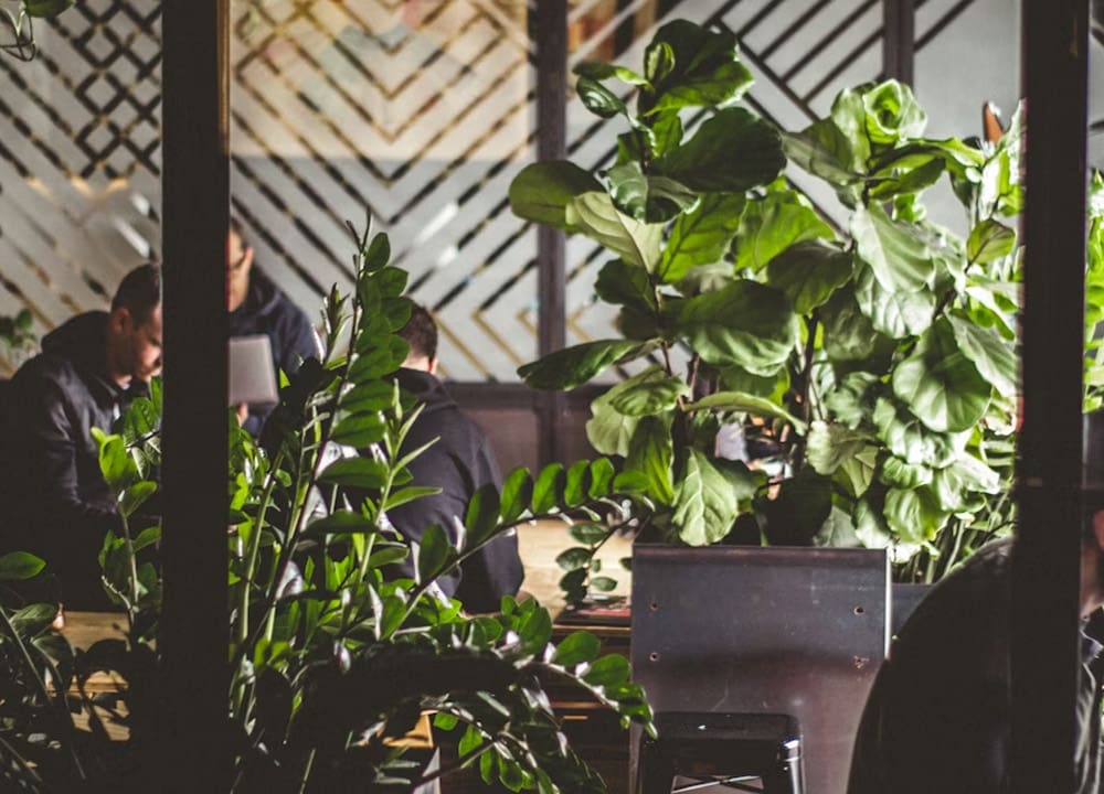 PODCAST: How to be an employee activist for sustainability