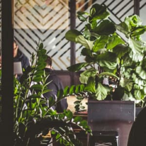 PODCAST: How to be an employee activist for sustainability