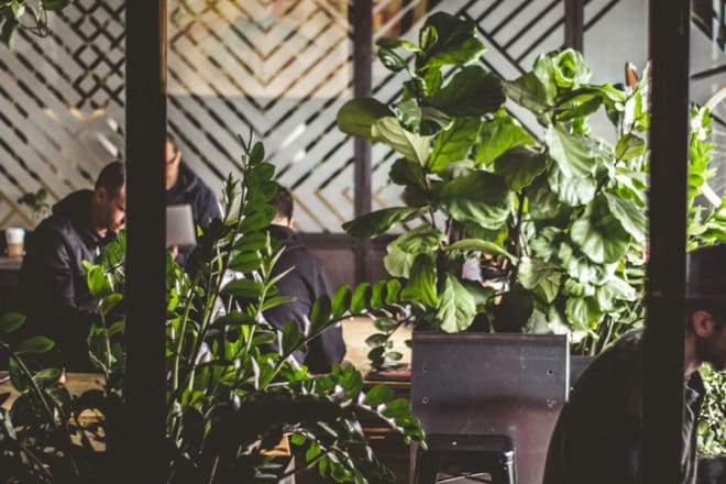 PODCAST: How to be an employee activist for sustainability