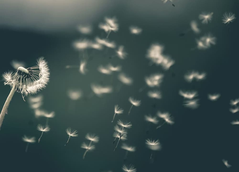 PODCAST: Rethinking vulnerability as strength