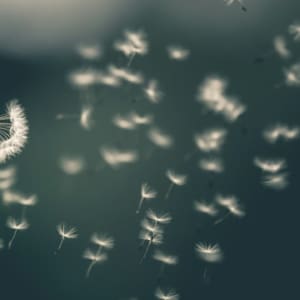 PODCAST: Rethinking vulnerability as strength
