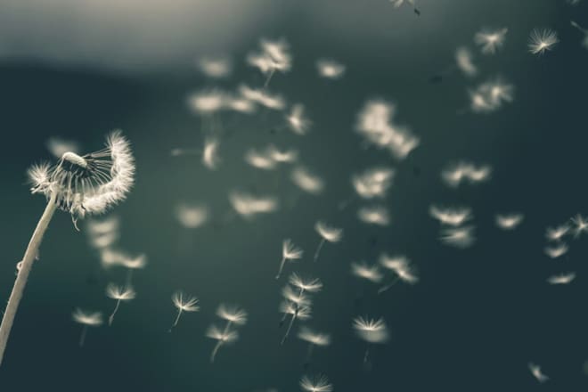 PODCAST: Rethinking vulnerability as strength