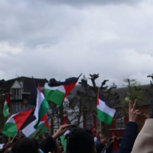 Higher education must take a stand on Gaza and academic freedom: The silence of Swedish universities
