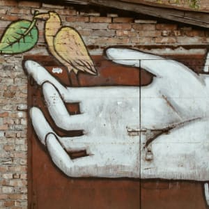 How can tech make the planet better, not worse?